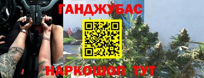 дмт Гатчина